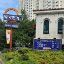 박가면가