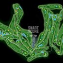 메트로팰리스1 B 이미지