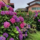 제주편백휴낭 이미지