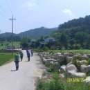 당치회관 티스토리