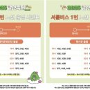 대구효명초등학교 이미지