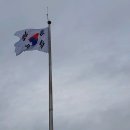 구리 한강공원 코스모스 축제! 이미지