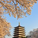 황금조명 - 거제시 고현로 90 | 황금조명