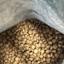 솔루션독 | 이즈칸 웨이트 독 컨트롤 솔루션 협찬 후기