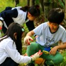 왕선초등학교 이미지