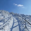 1035차 1월20일 소백산 정기산행 (천동-어이곡) 이미지