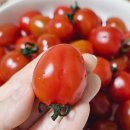 은아유통 이미지