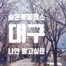 대구선동촌공원2 이미지