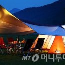 디자인위즈 이미지