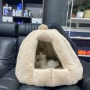 달냥이하우스 이미지