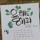 에코식물 생태도감 이미지