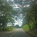 광덕산3로 | 천안 광덕산 애견동반 등산 후기 | 등린이 초보자 코스·소요시간·칼로리 정리