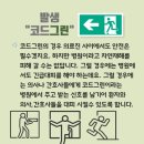 옐로우코드 이미지