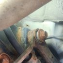 애니카랜드 고잔점 이미지