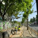 형제세탁 이미지