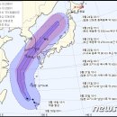 완도17호 이미지