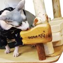 서림민박 이미지