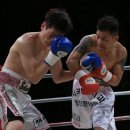 마장백화점약국 이미지