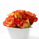 행복한 꿈 이미지