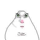 키라키라 이미지