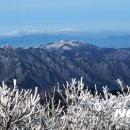지리산 - 부천시 소사구 은성로 40 | 지리산