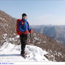 폼생폼사 이미지