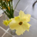 지에스칼텍스(주)케이티엑스주유소 | 부산, 경주 2박 3일 여행 후기 (깡통시장, 이재모피자, 경주월드, 장군암소숯불, 향화정 등)