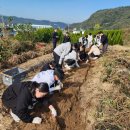 대구부계초등학교 이미지