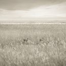 종로-현장-종로-세-336 이미지