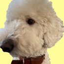 카페느리게 이미지