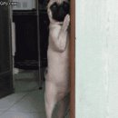 미래스톤 이미지