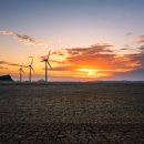 철길농장 이미지