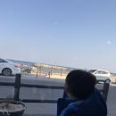 팍스식당 | 🌊 영진해변 앞에서 만난 수제버거집, 팍스버거 솔직 후기