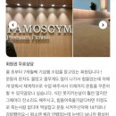 파모스짐 이미지