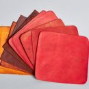 마이카센타 이미지