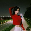 정혜성 카카오 검색결과