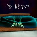 일선의료기 이미지