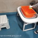 칠성gym