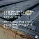 달리다굼