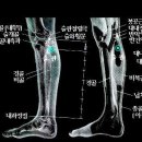 퇴 수 정 Daum카페