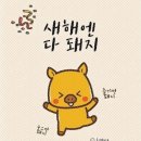 주주아이래쉬 이미지