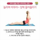 바른자세스트레칭 이미지