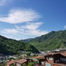 펜션화수목 이미지