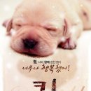 퀼 (Quill,クイ-ル - 드라마) | 일본 | 99 분 | 2010-01-07 개봉예정 | 코바야시 카오루, 시이나 킷페이, 카가와 테루유키 이미지