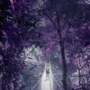 내 안에 시를 담다 이미지