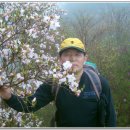 입석리경로당 이미지