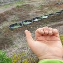 익수농장 이미지