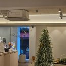 (점메추) 춘천명동 정말 혜자로운 점심시간 코스 중국집과 카페 _ 대화관 + 봄을 담아