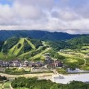 사단법인 평창기업 이미지