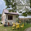 카라반닥터 | 대구 카라반 캄비오캠핑장 감성 촌캉스 글램핑